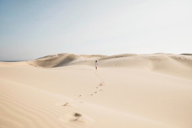 Small Group Port Stephens + Dolphins + 4WD/sandboarding ex Sydney - Real Traveler Feedback: What People Love (and Less)