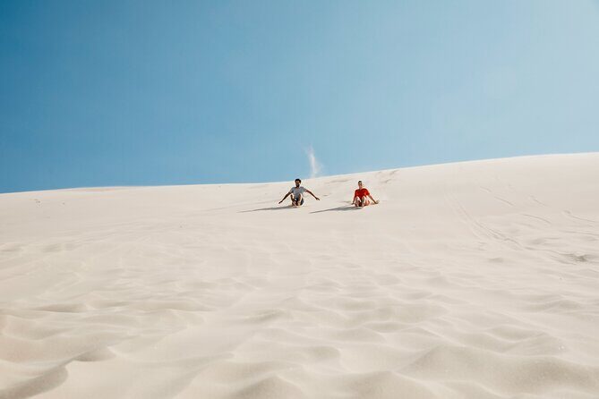 Small Group Port Stephens + Dolphins + 4WD/sandboarding ex Sydney - Who Will Love This Tour?