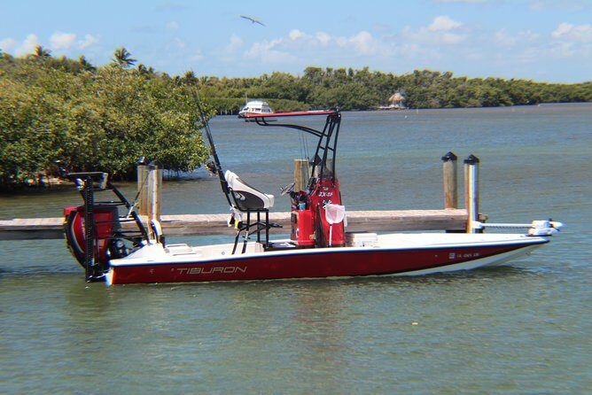 Small-group private Key West tour with expert guide - Who Would Love This Tour?