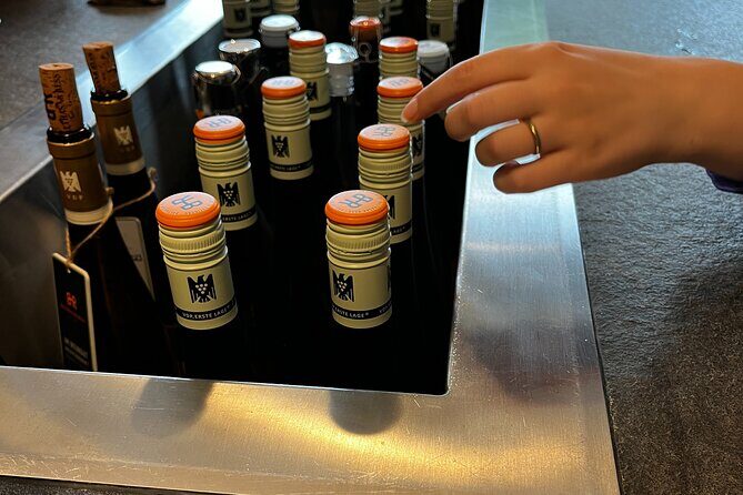 Small Group Rheingau Vineyards Tour with Castles and Abbeys - Final Thoughts