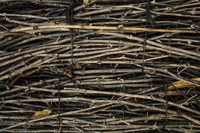 Small-Group Rioja Uncorked Tour from San Sebastian - Exploring the Rioja Uncorked Experience