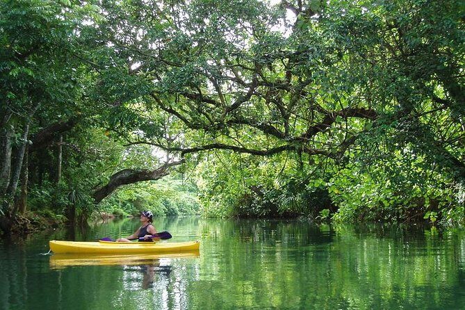 Small Group River Kayaking Tour from Port Vila - Key Points