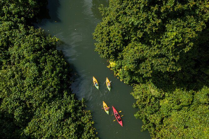 Small Group River Kayaking Tour from Port Vila - What You Can Expect on the Tour