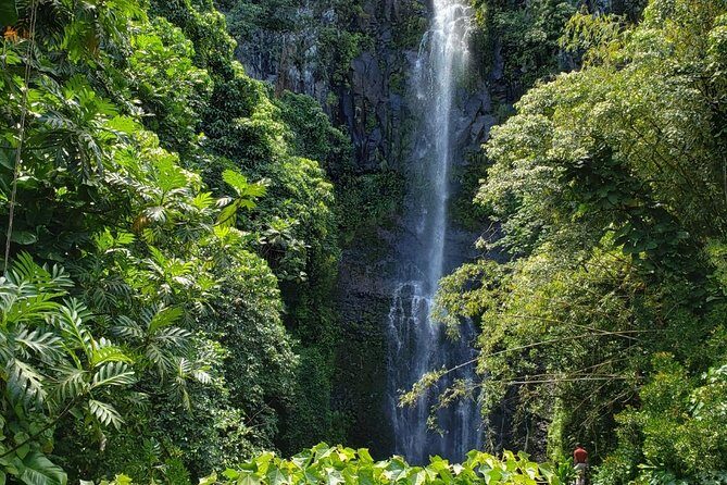 Small-Group Road to Hana Adventure Tour with Pickup & Lunch - Key Points