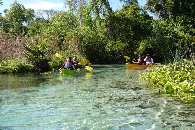 Small Group Rock Springs Run Eco Kayak Adventure - The Sum Up: Is It Worth It?