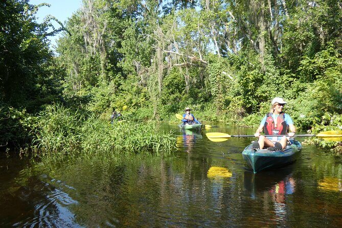 Small Group Scenic Wekiva River Kayak Tour near Orlando - Frequently Asked Questions