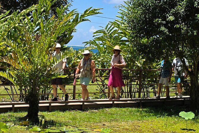 Small Group Shared Half Day Tahiti Tour Waterfalls&Scenic Coast - The Practical Side of the Tour
