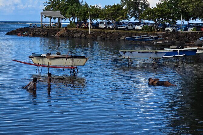 Small Group Shared Half Day Tahiti Tour Waterfalls&Scenic Coast - Who Will Get the Most Out of This Tour?