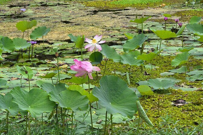 Small Group Shared Tahiti Circle Island Waterfalls and Views - FAQ