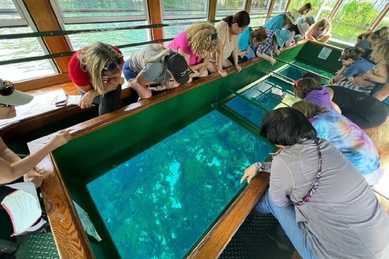Small Group Silver Springs State Park Day Tour from Orlando - Key Points