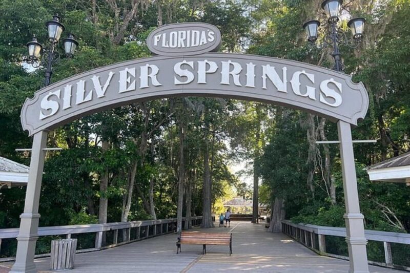 Small Group Silver Springs State Park Day Tour from Orlando - A Detailed Look at the Tour Experience