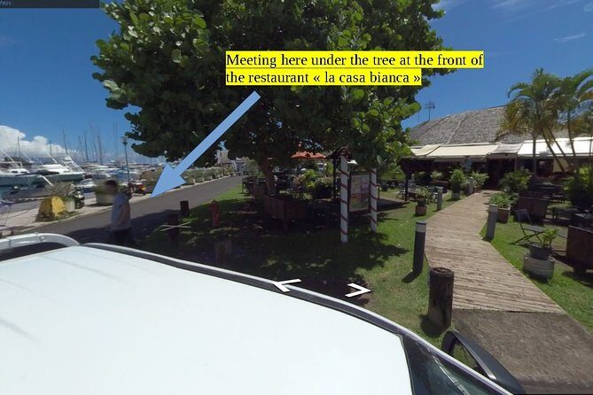 Small group snorkeling (5 people max): Turtles at 7:30am - An In-Depth Look at the Tour Experience