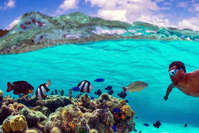 Small group snorkeling (5 people max): wrecks & tropical fishes at 10:30am - Value for Money and Practicalities