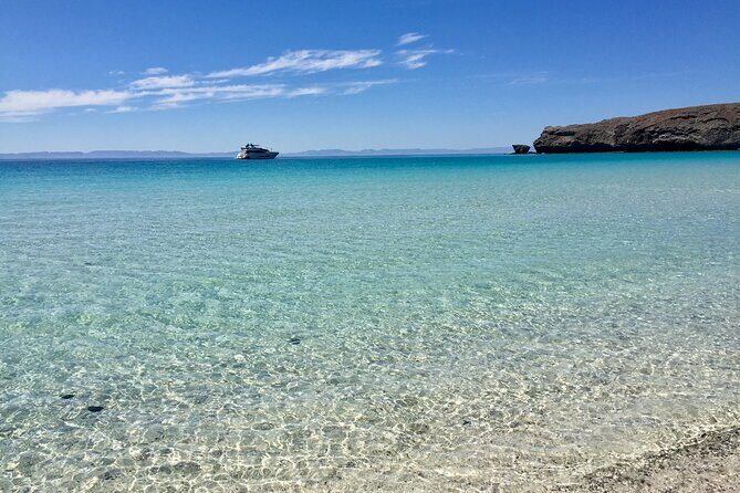 Small Group Snorkeling and Swim with Whale Sharks & Sea Lions in La Paz - Who Will Love This Tour?
