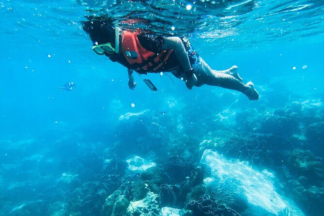 Small Group Snorkeling in Hikkaduwa - Key Points