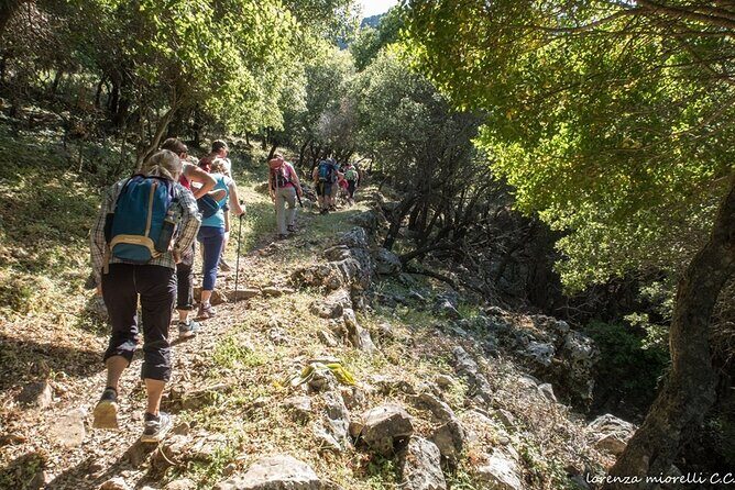 Small Group Sunset Hiking from Salakos to Profitis Ilias - Who Should Book This Tour?