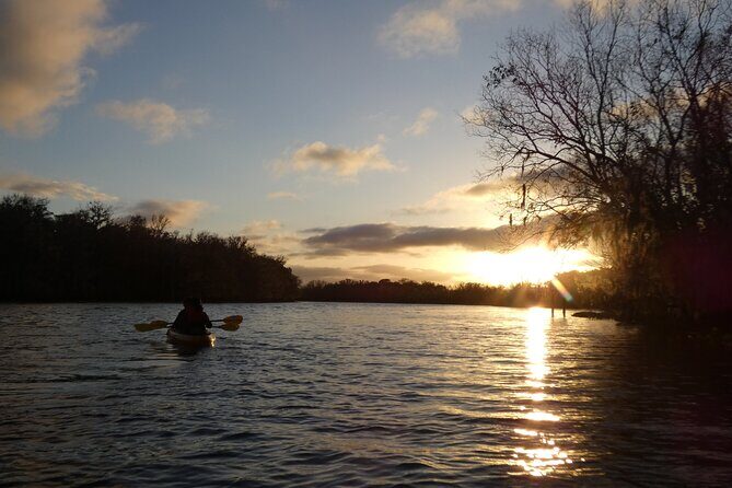 Small Group Sunset Paddle Among Manatees near Orlando - A Calm Evening Paddle Among Manatees Near Orlando