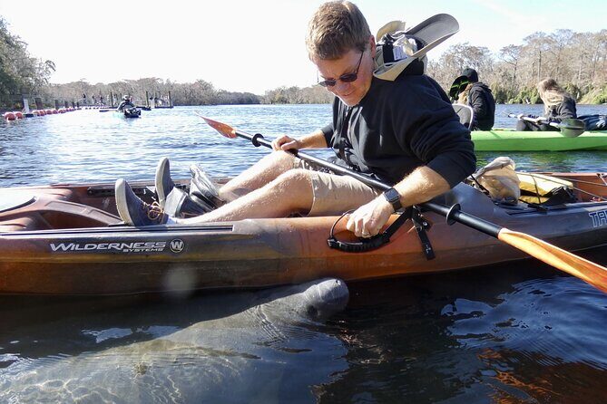 Small Group Sunset Paddle Among Manatees near Orlando - What to Expect from the Sunset Paddle Adventure