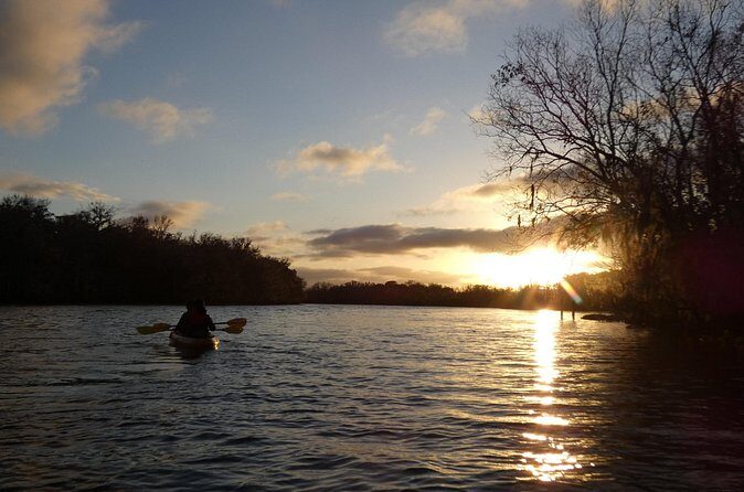Small Group Sunset Paddle Among Manatees near Orlando - Who Will Love This Tour?
