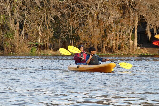 Small Group Sunset Paddle Among Manatees near Orlando - The Sum Up: Why This Sunset Paddle Is a Solid Choice