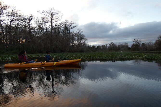 Small Group Sunset Paddle Among Manatees near Orlando - FAQ