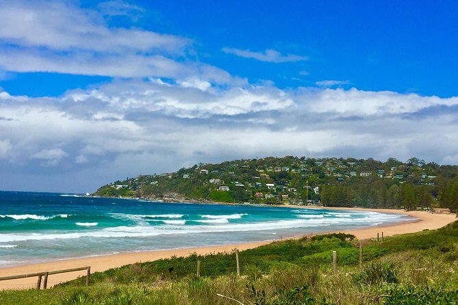 Small-Group Sydney's Northern Beaches & Ku-ring-gai Park Tour - Final Thoughts
