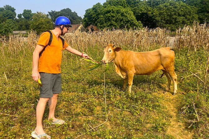 Small Group Tour Discover the best of Duong Lam Ancient Village - A Deep Dive into the Experience
