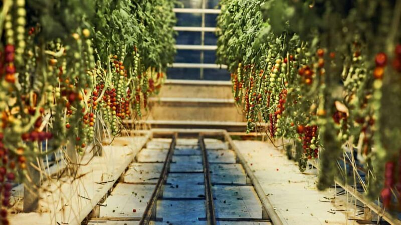 Small Group tour from Reykjavik: Golden Circle with 7 Stops - Key Points