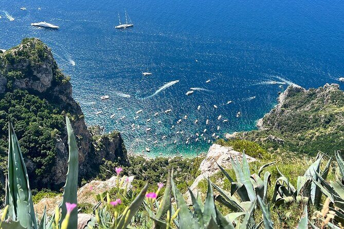 Small Group Tour from Rome to Blue Grotto, Anacapri and Capri - FAQ
