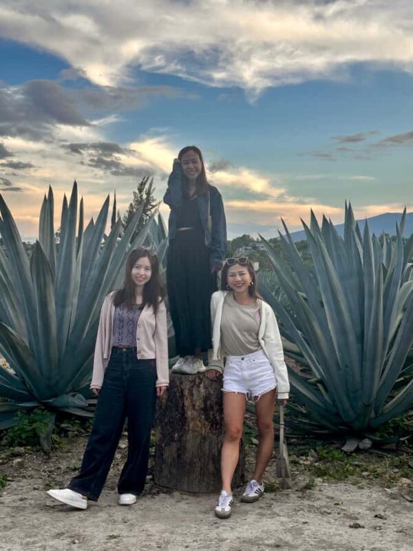 Small group tour: Hierve el Agua, Mezcal, Textiles, and the Tule tree - An In-Depth Look at the Tour Experience