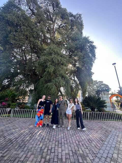Small group tour: Hierve el Agua, Mezcal, Textiles, and the Tule tree - Final Thoughts