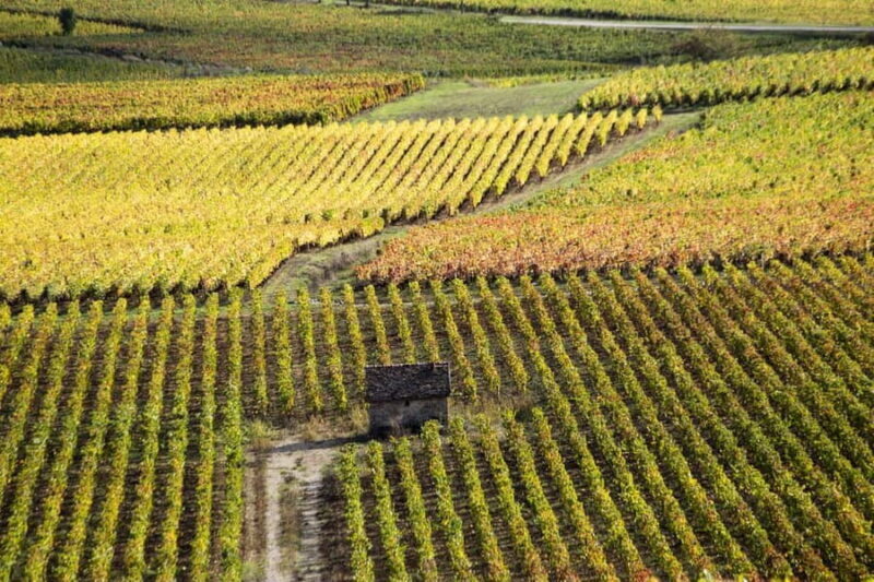 Small group tour Morning in Côte de Beaune - Key Points