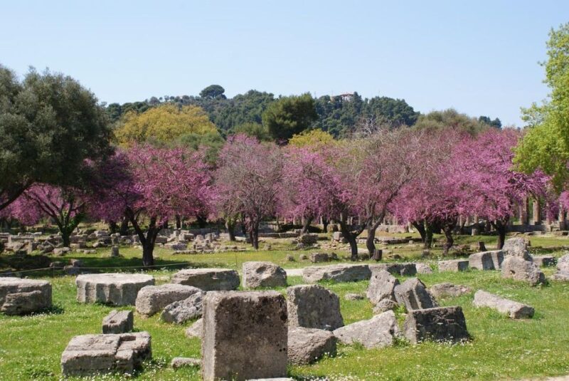 Small Group Tour of Ancient Olympia and Local Food Tasting - Leisure Time in Olympia Village (Weather Permitting)