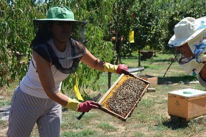 Small Group Tour of Ancient Olympia and Local Food Tasting - Transportation, Group Size, and Practicalities