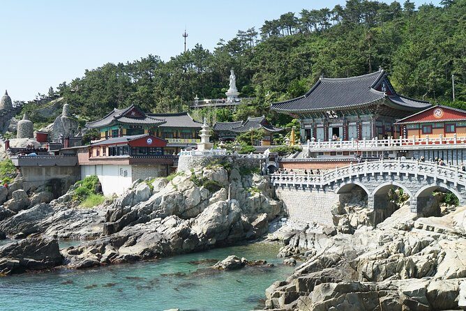 Small Group Tour of Busan Highlights by licensed tour guide - Final Thoughts