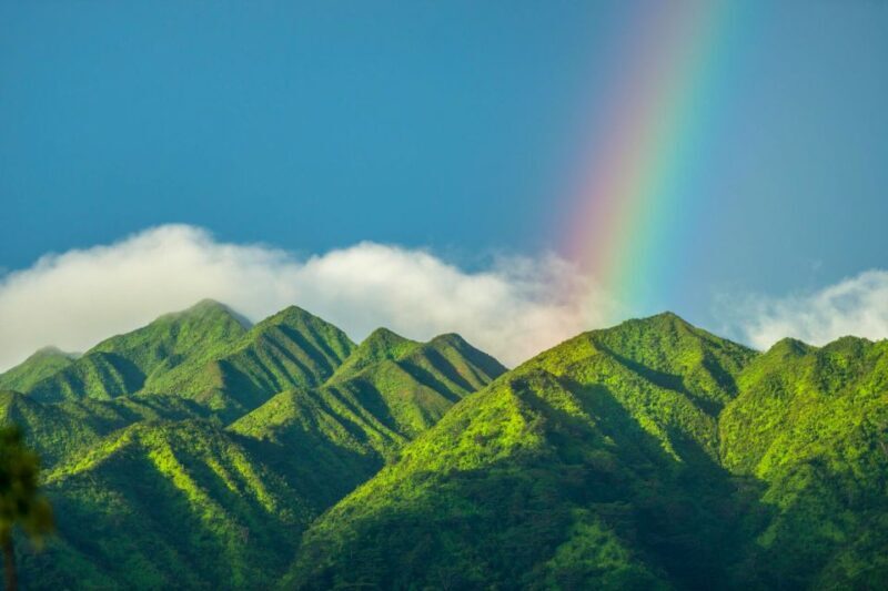 Small Group Tour of Honolulu Scenic Vistas with Sunset - Practical Details & Tips