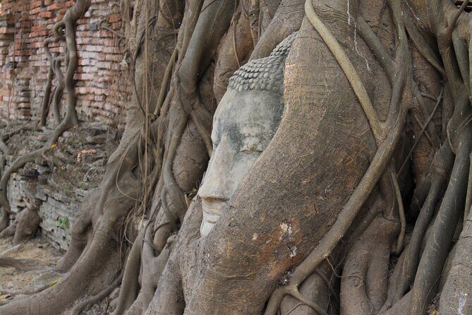 Small Group Tour to Ayutthaya Temples from Bangkok with Lunch - Who is This Tour Best For?
