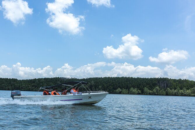 Small-Group Tour to Can Gio Vam Sat Mangrove Forest - An In-Depth Look at the Can Gio Mangrove Tour