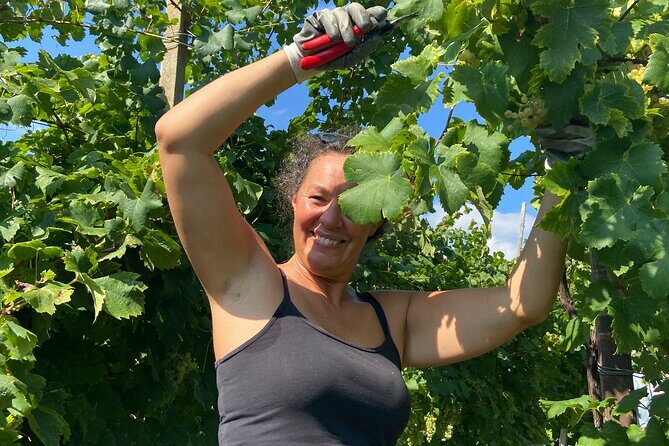 Small Group Tour with Prosecco Wine Tasting from Venice - Final Thoughts