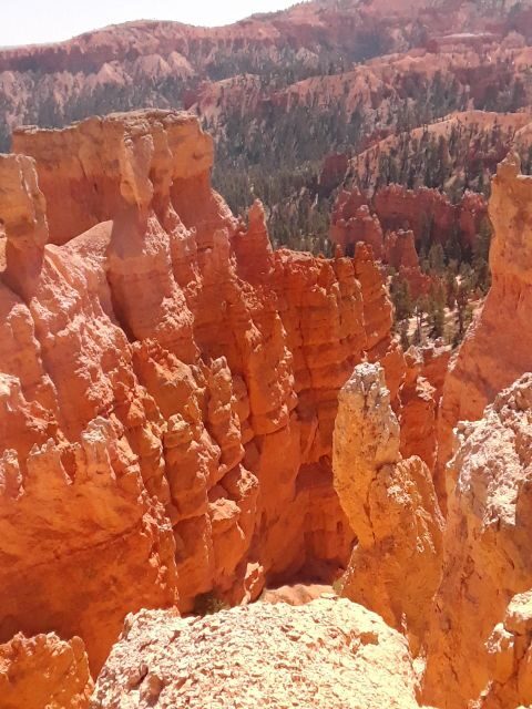 Small Group Tour Zion & Bryce Canyon National from Las Vegas - The Experience: What You Can Expect on This Tour
