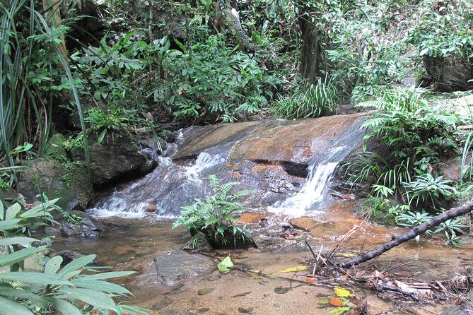 Small Group : Trekking Trip in Chiang Mai (Doi Suthep Area) with Market Tour - What Makes This Tour Special?