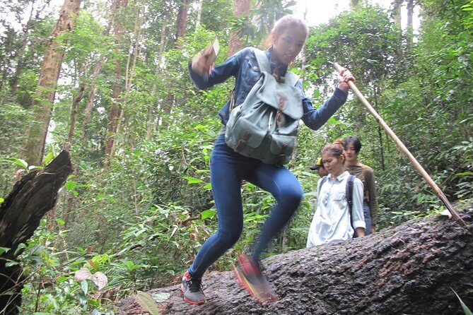 Small Group : Trekking Trip in Chiang Mai (Doi Suthep Area) with Market Tour - Analyzing the Value