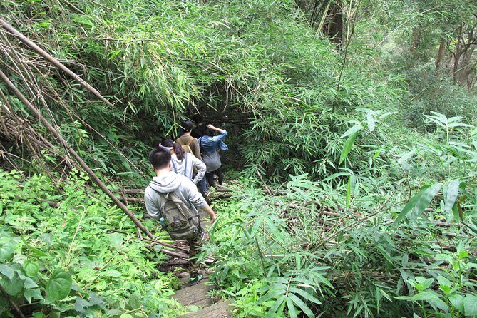 Small Group : Trekking Trip in Chiang Mai (Doi Suthep Area) with Market Tour - Final Thoughts