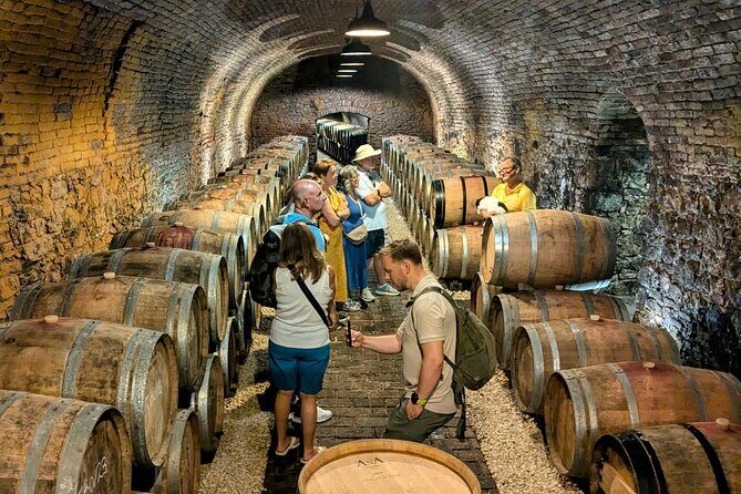 Small-group Vienna Wine Tour - A Deep Dive into the Vienna Experience
