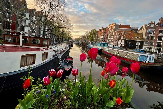 Small Group Walking Tour in Amsterdam with Friendly and Fun Guide - Final Thoughts