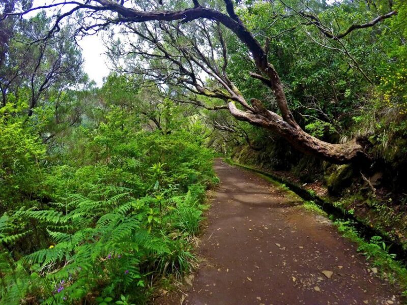 Small Group Walks Rabaçal 25 Fontes - Final Thoughts