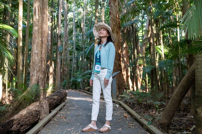 Small Group Waterfall Wetlands+ Skyrail All Inclusive from Cairns - Exploring Cairns’ Natural and Cultural Highlights in One Day