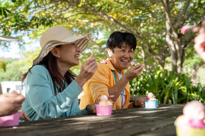 Small Group Waterfall Wetlands+ Skyrail All Inclusive from Cairns - Why This Tour Offers Great Value
