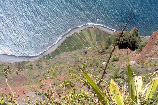Small Group West Tour Waterfalls & Fanal Forest Tour - The Sum Up