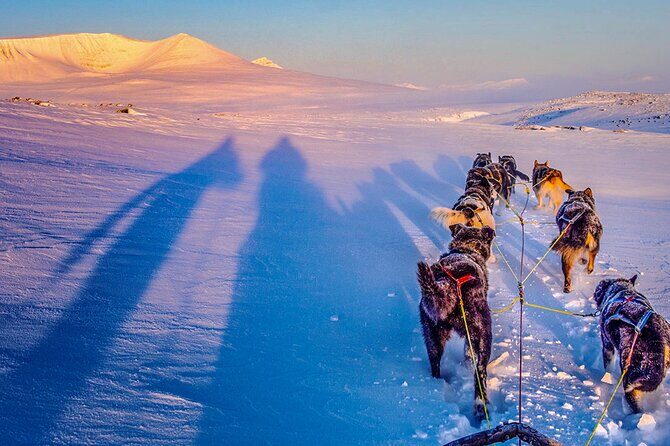 Small Group Wilderness Husky Sledding 2h from Tromsø (car needed) - An In-Depth Look at the Husky Sledding Tour